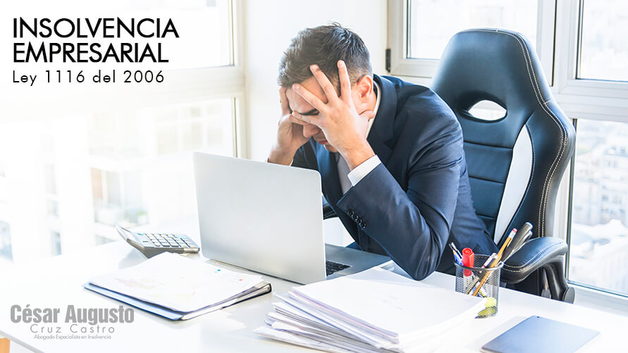 Aspectos generales de la insolvencia empresarial – Ley 1116 del 2006